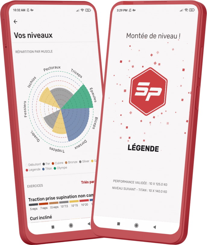 Niveaux de SP Training